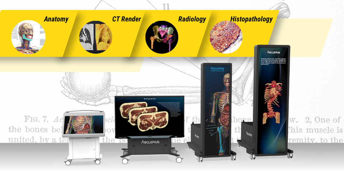 Anatomy Tables USP Image Gallery 1 2_1 1140x570